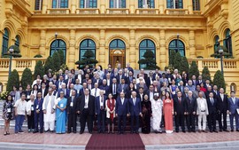 Viet Nam to continue active contributions to world peace movements