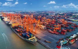 Gov’t adopts action program for sustainable import-export by 2030