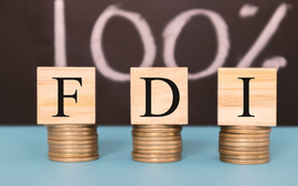 FDI inflows exceed US$25 bln in 11 months