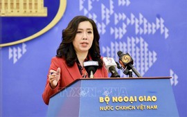 Viet Nam stands ready to share experience in food security