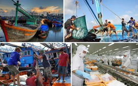 Viet Nam becomes world’s third largest seafood exporter