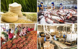 Farm product exports up nearly 12% in 11 months
