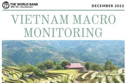 WB report: Vietnamese Dong slightly strengthens in November
