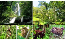 Gov’t strengthens prevention of biodiversity crime