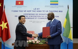 Viet Nam, Gabon pledge to strengthen economic and trade cooperation