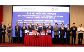AFD supports EVN to launch southern Viet Nam power distribution project