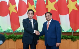 Vietnamese, Japanese PMs discuss ways to strengthen bilateral ties
