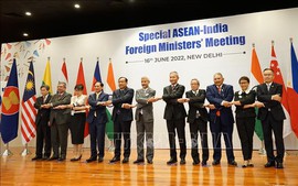 Foreign Minister attends Special ASEAN-India Foreign Ministers’ Meeting