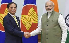 Viet Nam, India target US$15 bln in bilateral trade this year 