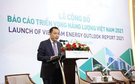 Viet Nam Energy Outlook Report 2021 released