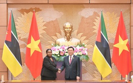 Vietnamese, Mozambican top legislators hold talks 