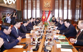 Vietnamese, Hungarian top legislators hold talks 