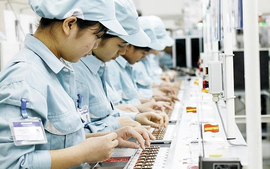 HSBC: Viet Nam turns itself into rising star in global supply chains