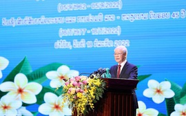 Viet Nam, Laos celebrate 60 years of diplomatic ties
