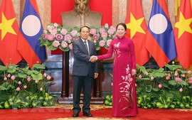 Vietnamese, Lao Vice Presidents hold talks
