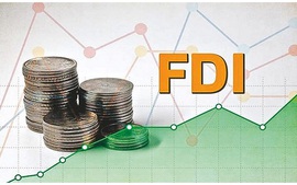 Realized FDI up 10.2% in seven months 