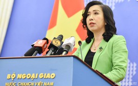 Viet Nam willing to enhance cooperation in combating illegal fishing 