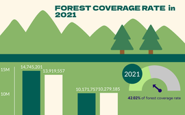 Forest coverage hits 42.02% by end of 2021 