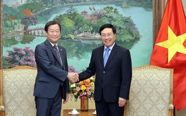 Deputy Prime Minister receives JICA Executive Senior Vice President