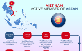 Viet Nam serves as vital member in ASEAN’development path