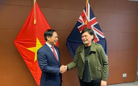 First Viet Nam-New Zealand Foreign Ministers’ Meeting held