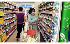 Half of Vietnamese to make more than US$20 a day by 2030