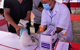 Viet Nam targets zero human deaths from rabies by 2030