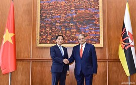 Viet Nam, Brunei hold 2nd meeting of Joint Commission for Bilateral Cooperation