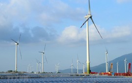 Viet Nam offshore wind power sparks influx of foreign investment: Nikkei Asia