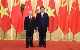 Vietnamese, Chinese Party leaders exchange Lunar New Year greetings