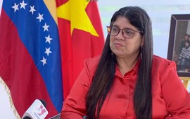 Viet Nam shows strength of socialist-oriented market economy: Venezuelan Ambassador