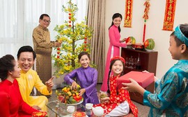Tet impressive in foreign ambassadors' eyes