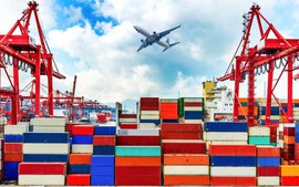Decrees specifying Viet Nam’s special preferential import tariff schedule issued