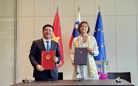 Viet Nam, Slovenia foster collaboration in various areas