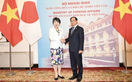 Vietnamese, Japanese Foreign Ministers hold talks
