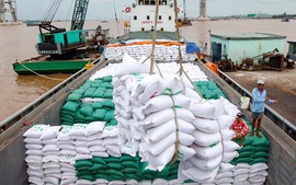 Rice exports up nearly 36% in value during Jan-Sept
