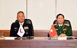 Viet Nam, Japan strengthen defense ties
