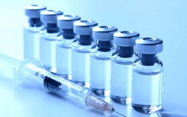 Viet Nam to test Japanese dengue vaccine efficacy