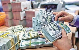 Nine-month overseas remittances into HCM City up 40%