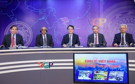 ADB Country Director hails Viet Nam's proactive policy responses