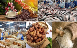 Agro-product exports seek for full recovery