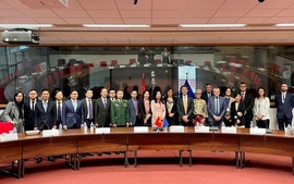 Viet Nam-EU Joint Committee holds fourth meeting