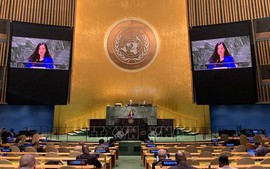 Viet Nam supports reform of UN General Assembly’s operation