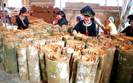 Viet Nam becomes biggest cinnamon exporter