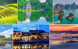 Viet Nam mulls over visa exemption for short-term visits