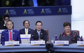 Viet Nam proposes to host APEC in 2027