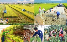 Viet Nam targets to cut poverty rate to under 1% by 2025