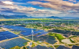 Viet Nam actively materializes COP26’s commitments