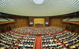 Viet Nam to apply global minimum tax in 2024