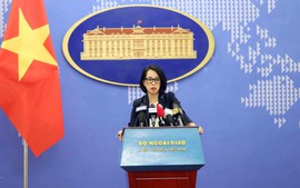 Viet Nam calls for immediate cease-fire in Gaza